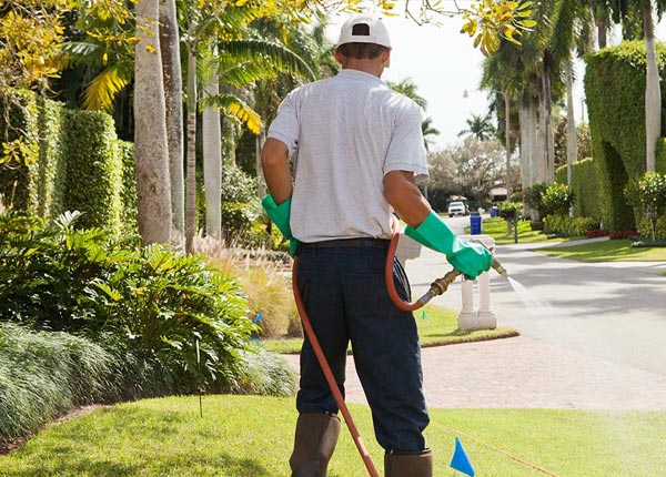 About Somerset CO Pest Control